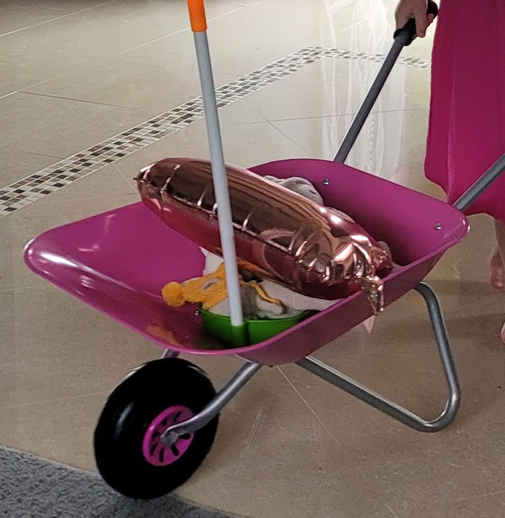 Avis Brouette enfant Montessori Rolly Toys : jouet de jardinage dès 2,5 ans