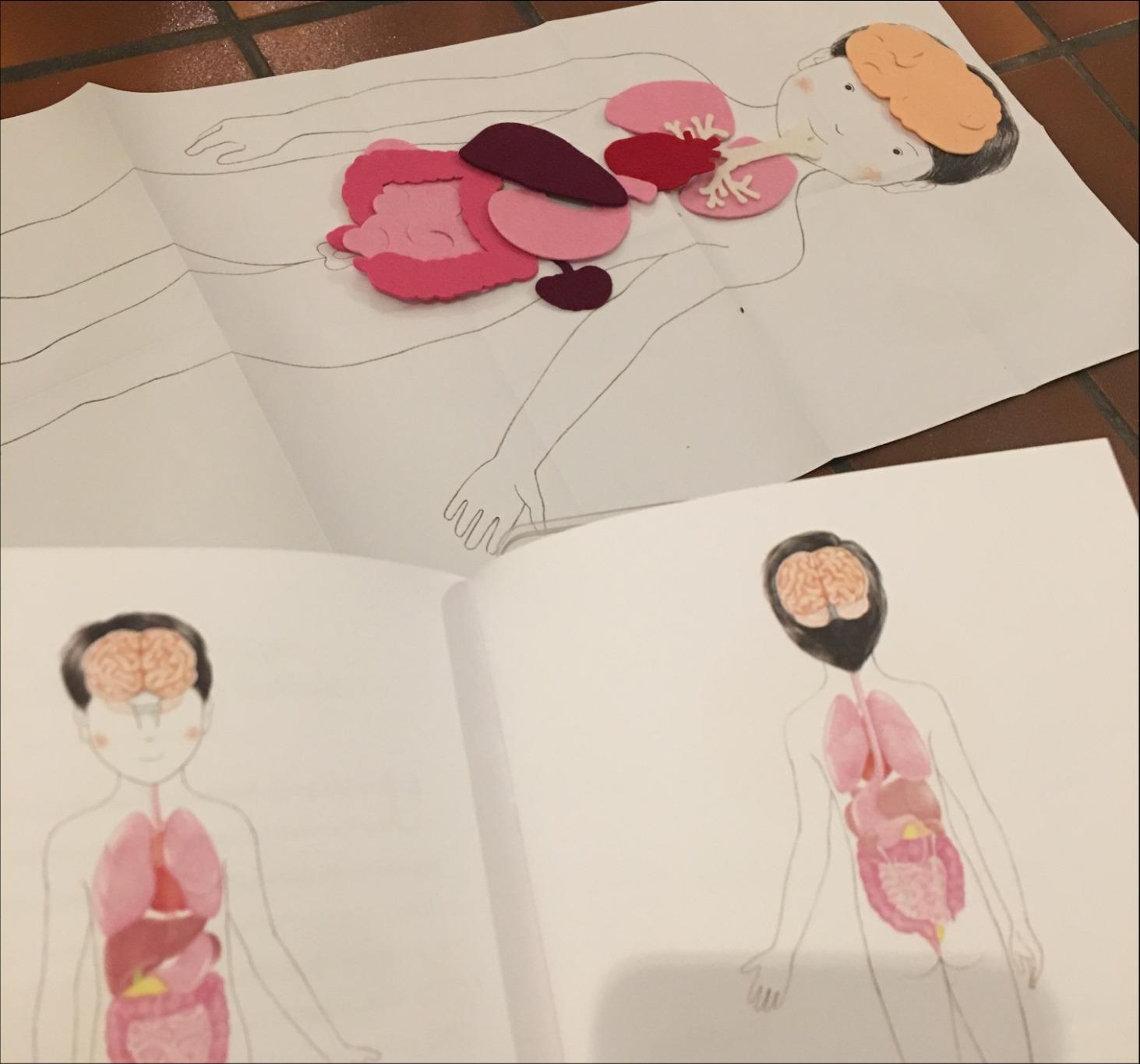 Avis Coffret Montessori du corps humain pour enfants de 6 à 9 ans
