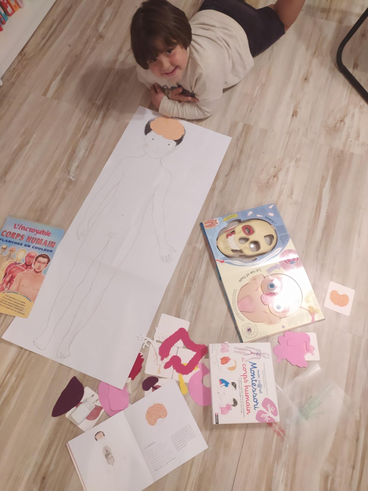 Avis Coffret Montessori du corps humain pour enfants de 6 à 9 ans