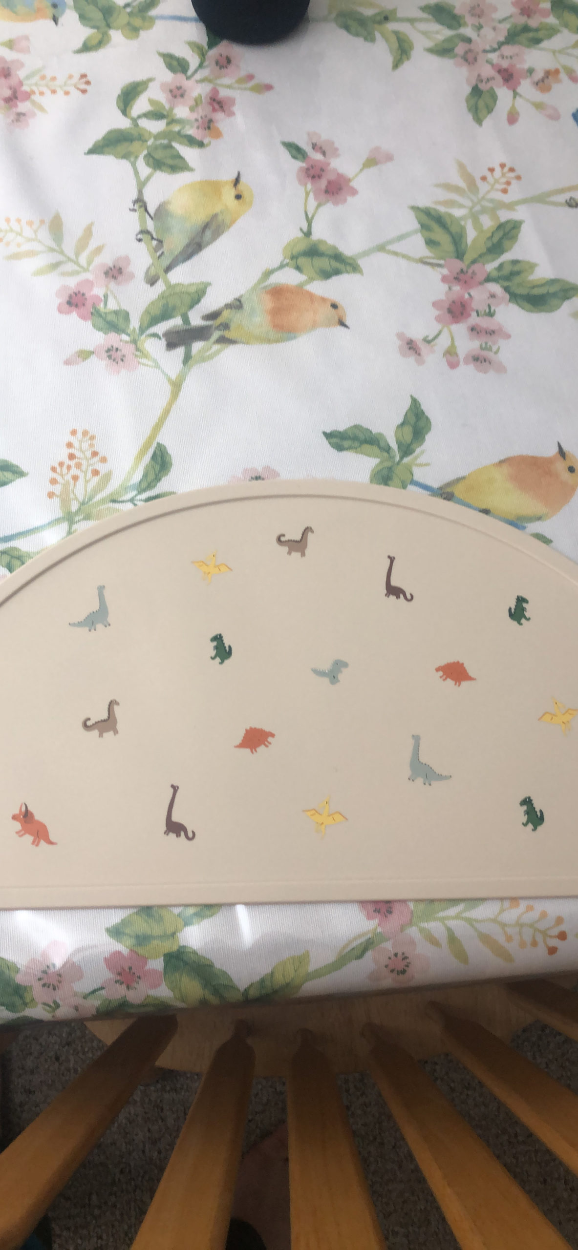 Avis Set de table Montessori en silicone antidérapant sans BPA pour bébé – Motif dinosaures