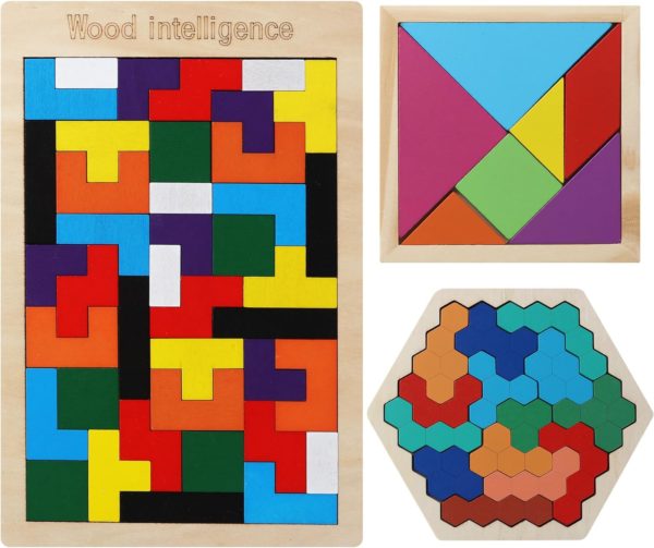 Casse-tête Tangram Montessori en bois pour enfants de plus de 4 ans