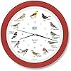 Horloge Montessori KOOKOO Singvögel en rouge fraise : le pendule murale avec oiseaux indigènes