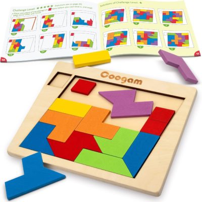 Jeu de tangram Montessori en bois : puzzle éducatif pour tous les âges