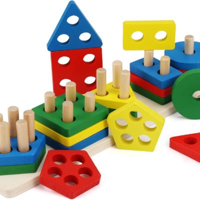 Puzzle Montessori en bois : jouet d'apprentissage géométrique pour enfants 2-4 ans