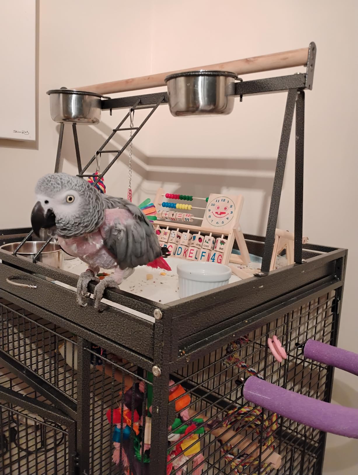 Avis Boulier en bois Montessori pour enfants 5 ans