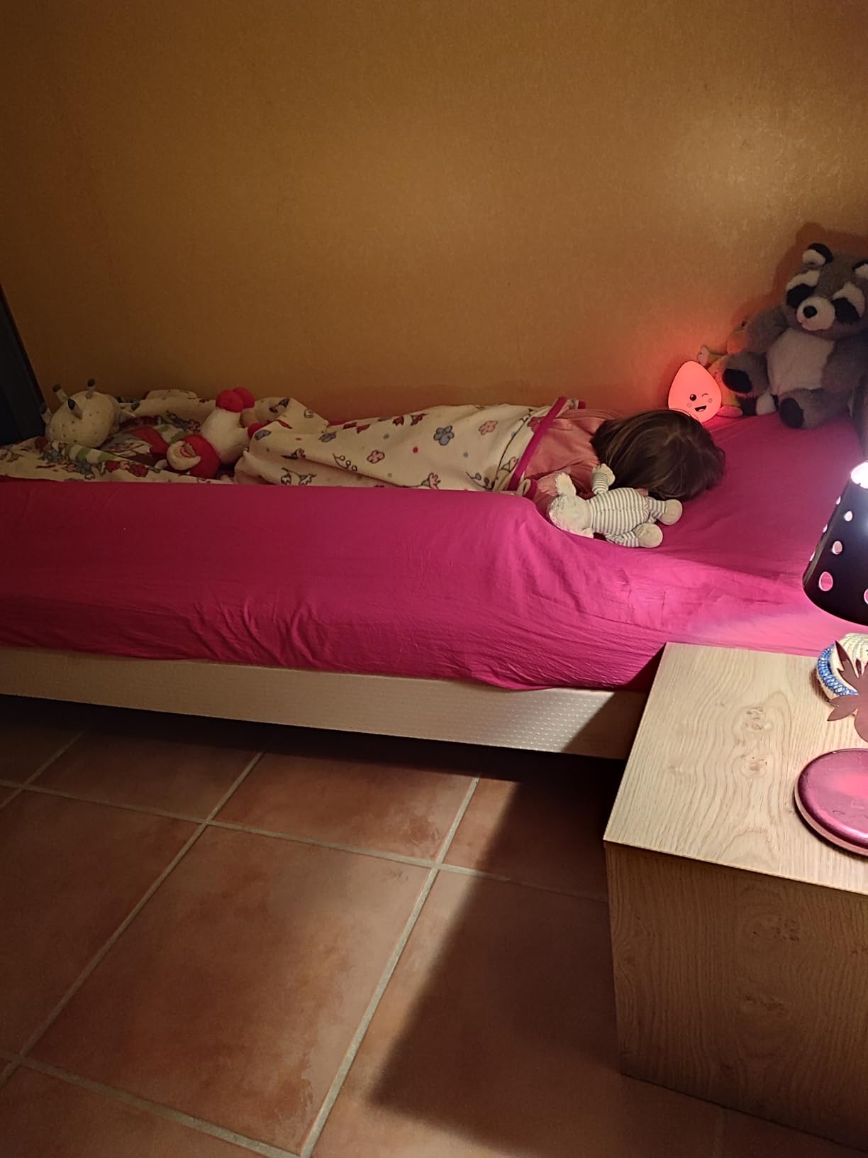 Avis Barrière de lit amovible pour enfants et personnes âgées