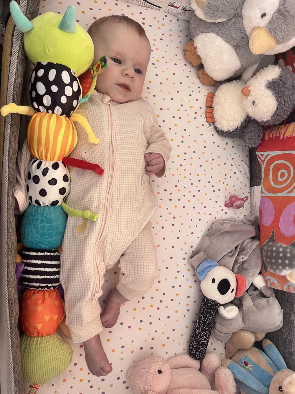 Avis Jouet sensoriel montessori chenille musicale pour bébé 0-6 mois