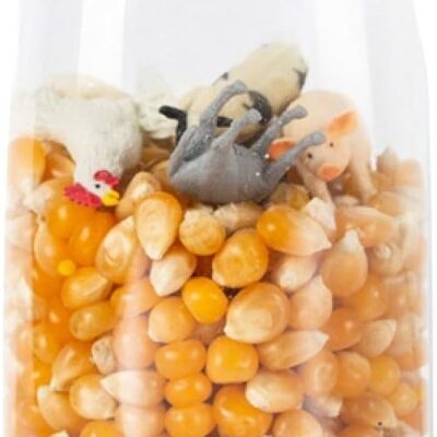 Bouteille sensorielle Petit Boum pour bébé et enfant