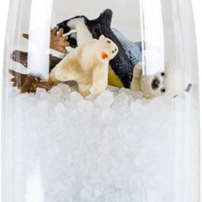 Bouteille sensorielle arctique pour bébé et enfant