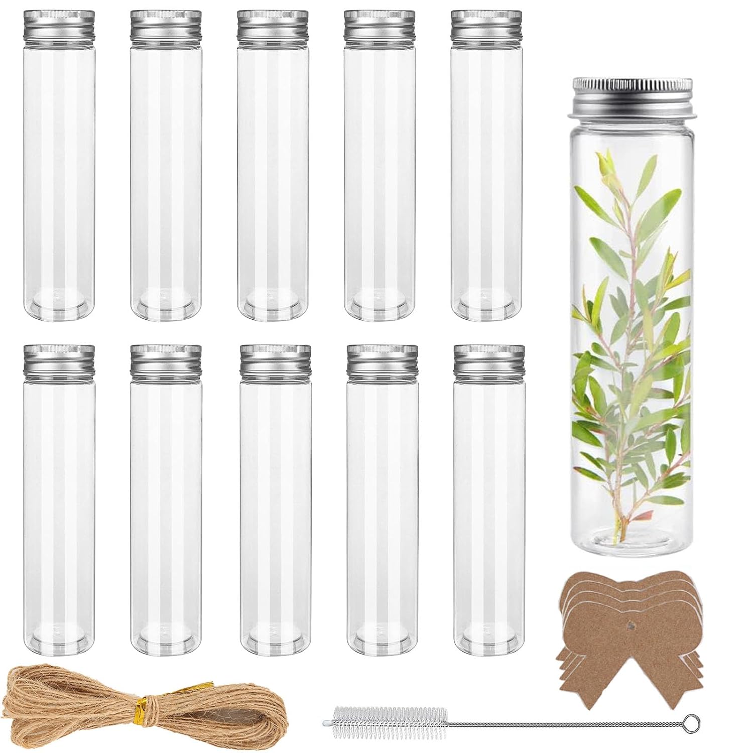 Tubes à essai en plastique 110 ml avec bouchon et accessoires éducatifs