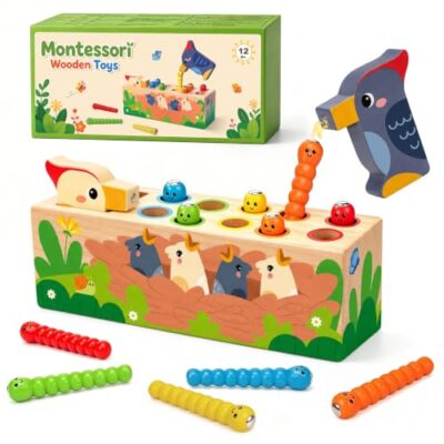 Jeu magnétique des oiseaux Haozozo, tri des couleurs en bois massif